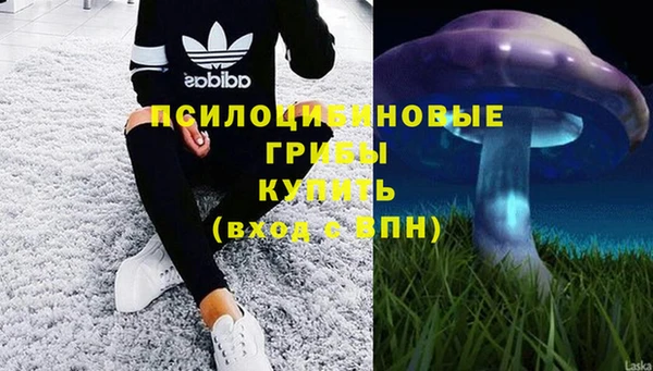 mdpv Баксан