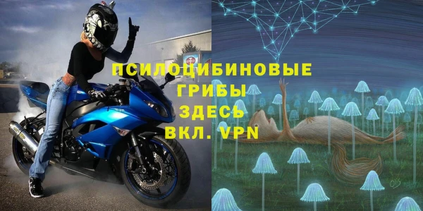 мдпв Балахна