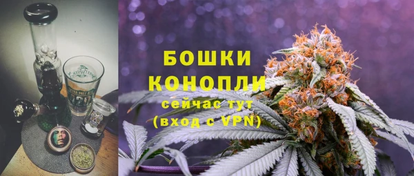 PSILOCYBIN Балабаново