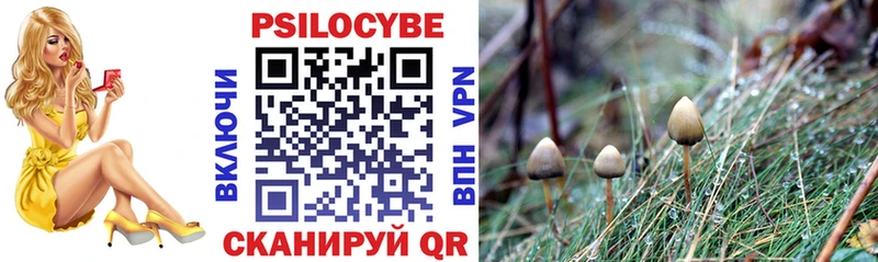 сколько стоит даркнет клад Псилоцибиновые грибы MAGIC MUSHROOMS Хадыженск