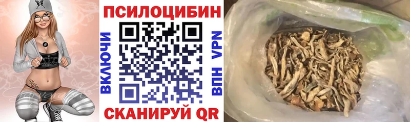 Галлюциногенные грибы Psilocybine cubensis Хадыженск